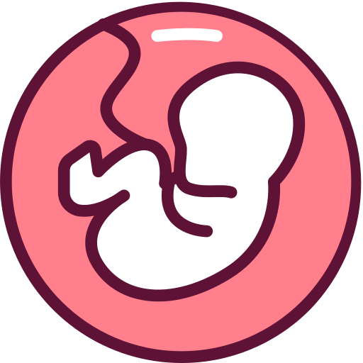 embryo