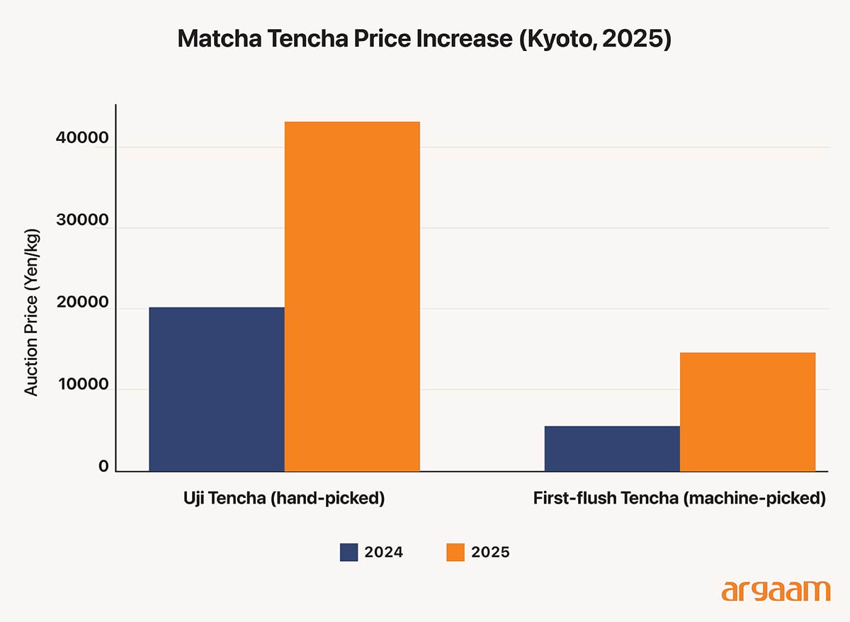 matcnha tencha price increase